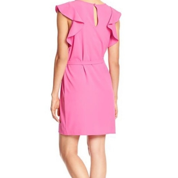 NWT Banana Republic Pink Flutter Sleeve Dress Size Small - Picture 2 of 9